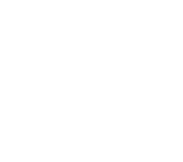 20 Stories High