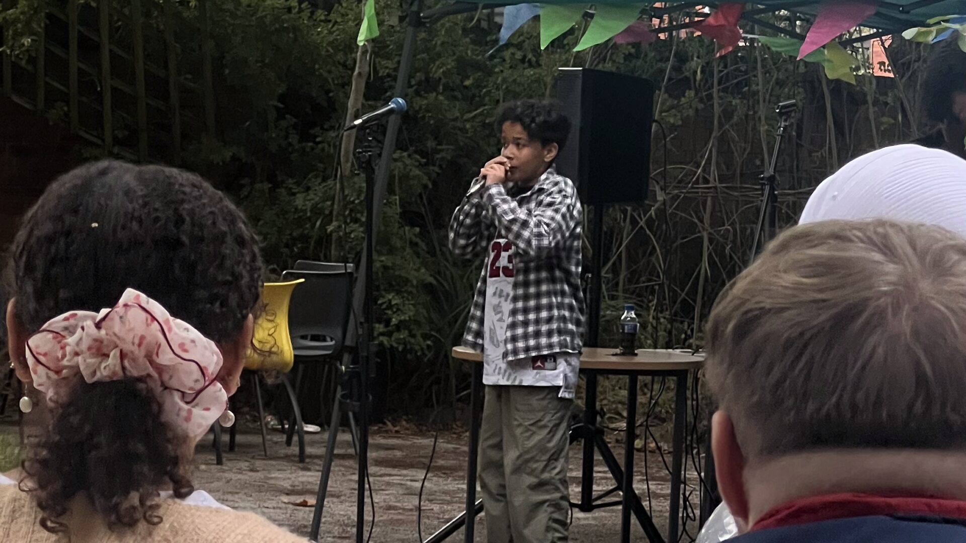 People by a gazeebo, one is singing, with bunting across a garden